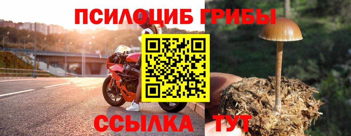 Псилоцибиновые грибы прущие грибы Кувандык
